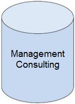 Management Consulting